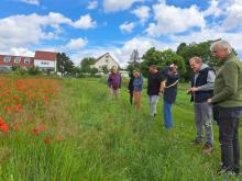 PannFlora - exploring the experimental sites in Vienna.jpg
